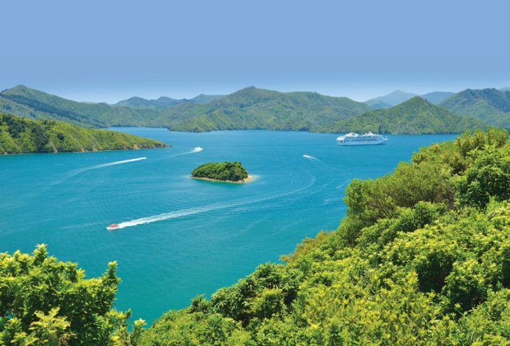 Full Day Scenic Marlborough and Wine Tour