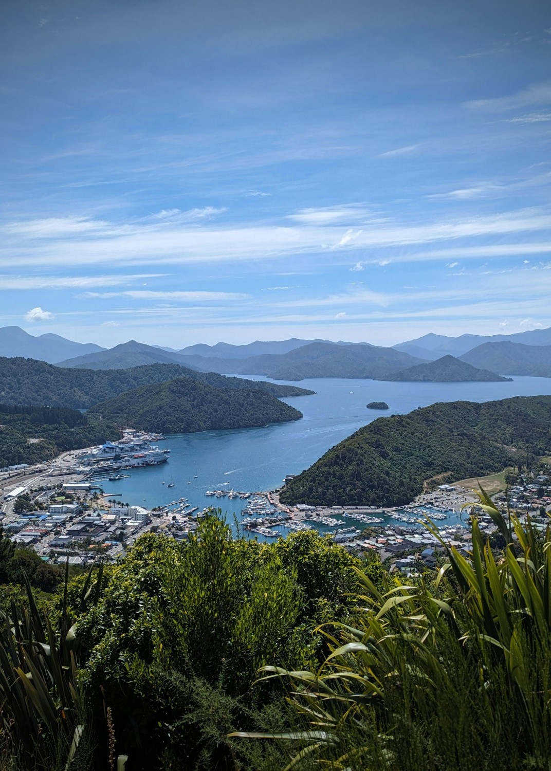 Scenic tours Picton and Marlborough